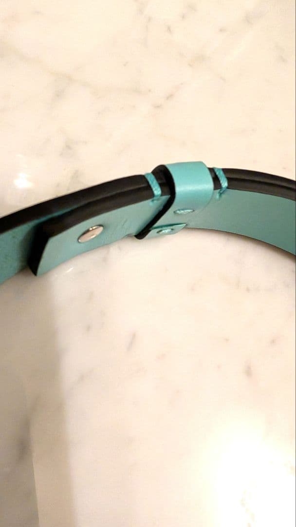 ■試着のみ 新品未使用 TIFFANY 首輪+リードセット Lサイズ 中〜大型犬