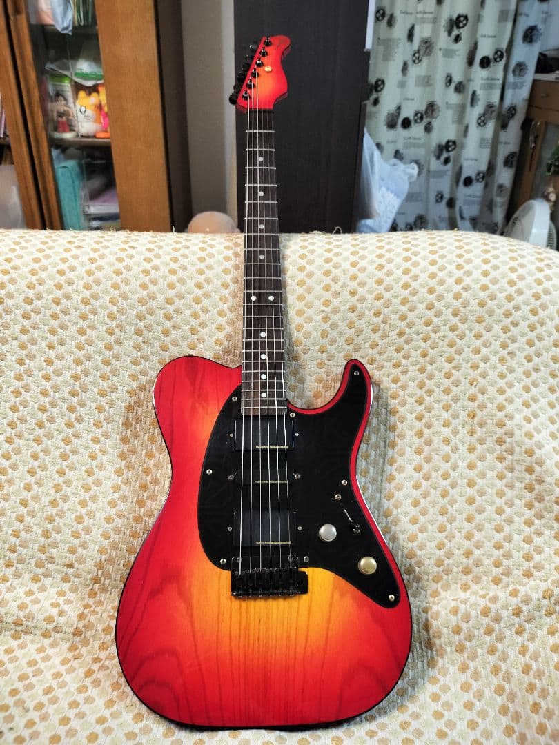 VALLEY ARTS Custom Line Limited Mシリーズ