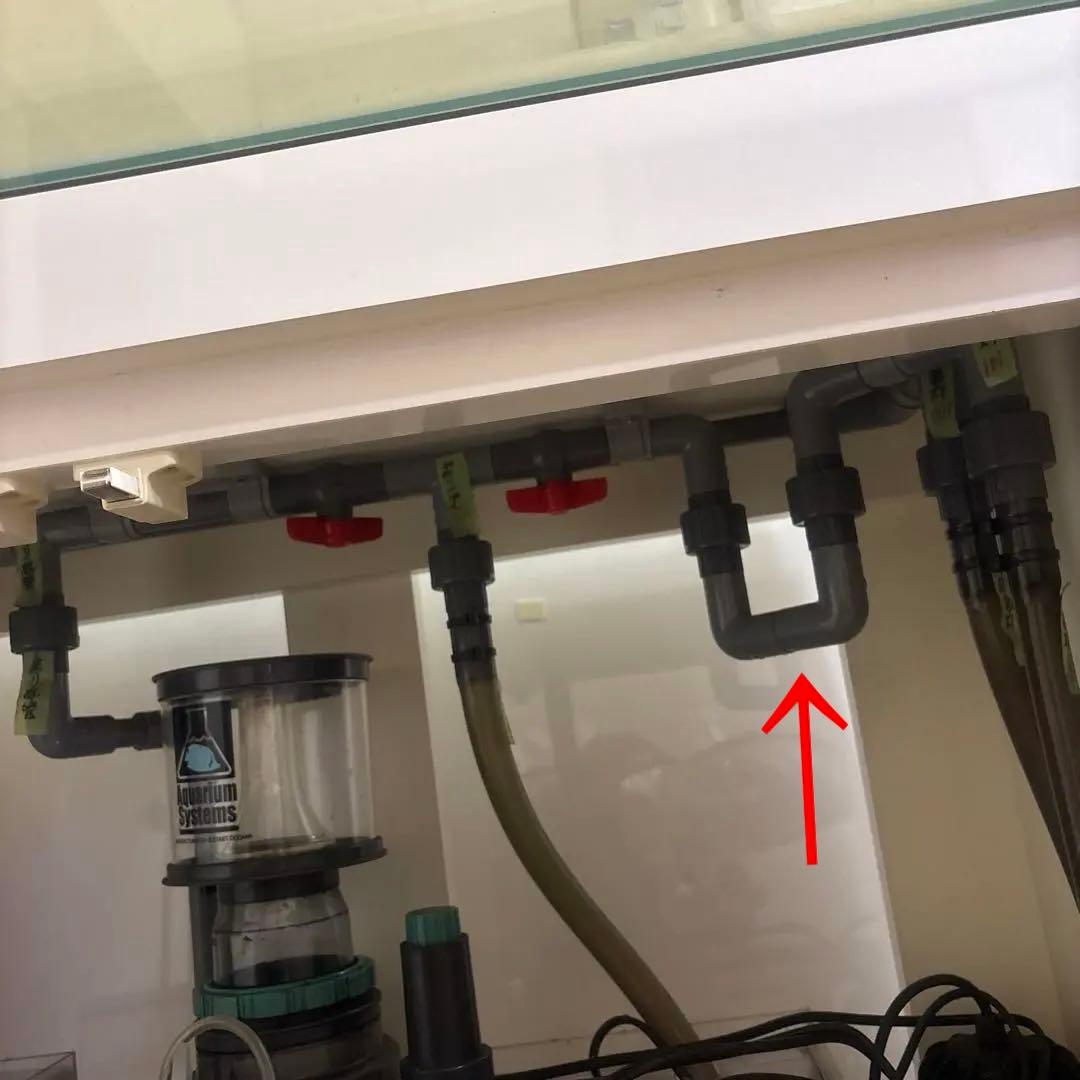 引き取り限定 90cm オーバーフロー水槽