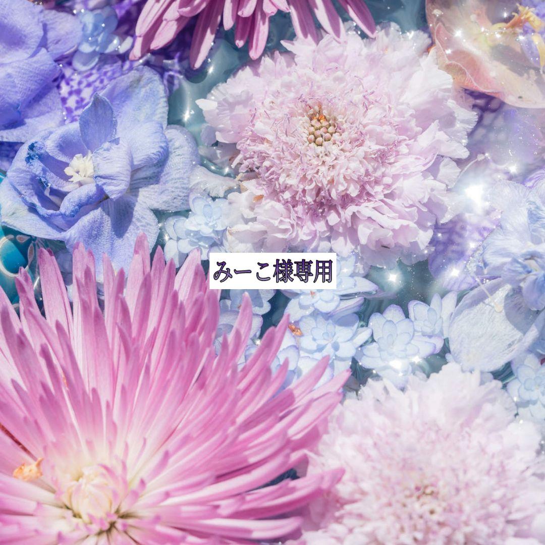 【みーこ】