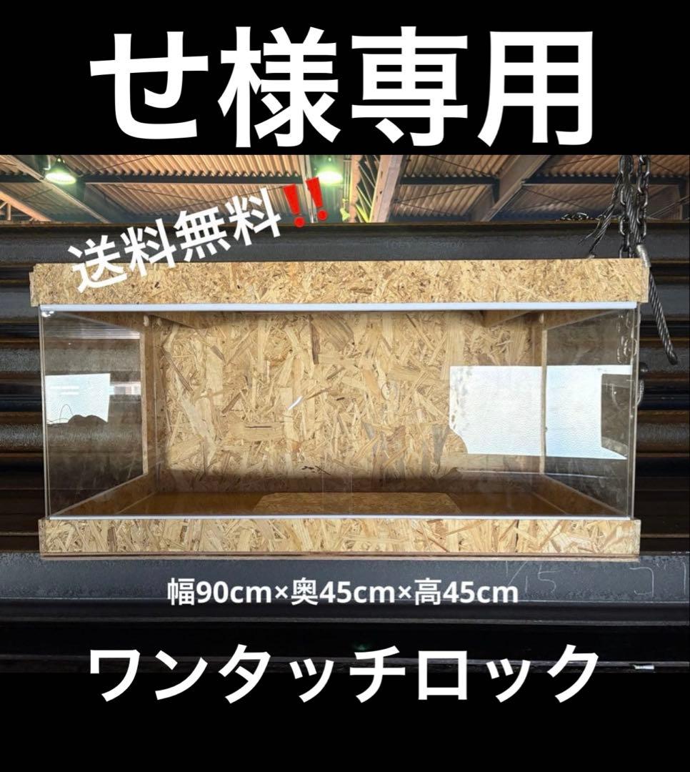 せ　904545