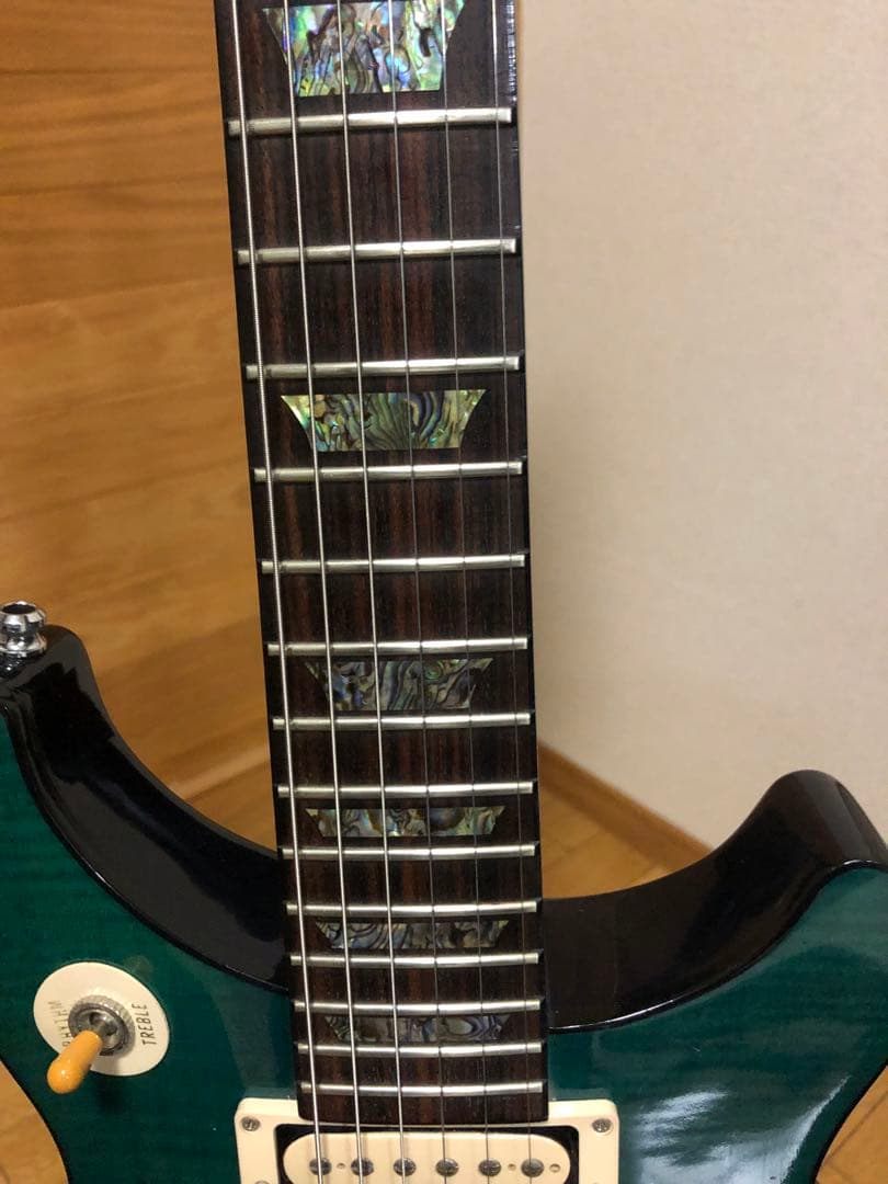 Gibson Tak Matsumoto アクアブルー1st