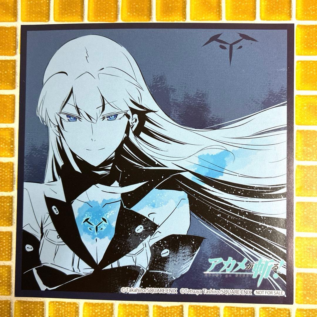 アカメが斬る　特典　イラストカード　エスデス　非売品　レア