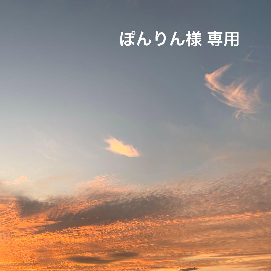 ぽんりん
