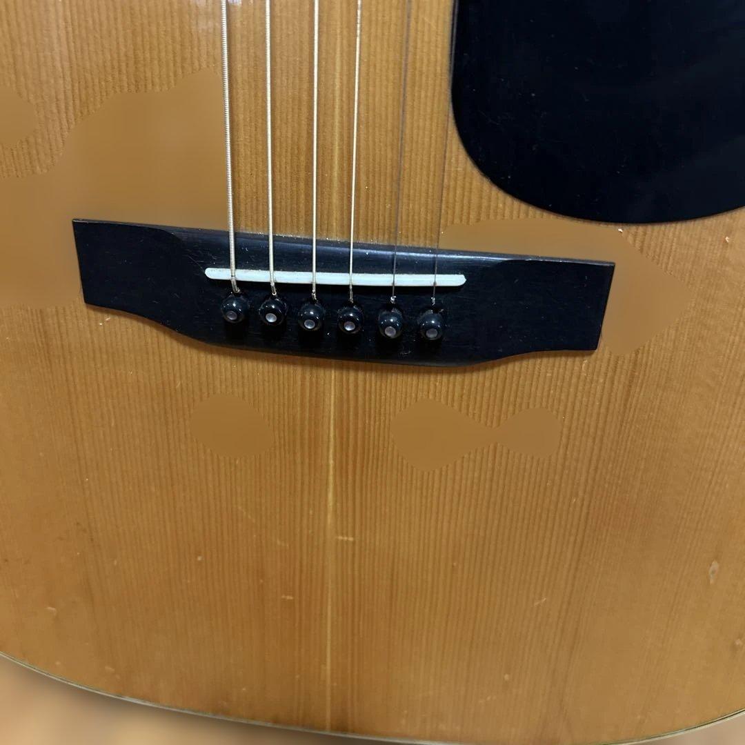 Morris アコースティックギター W-25 日本製