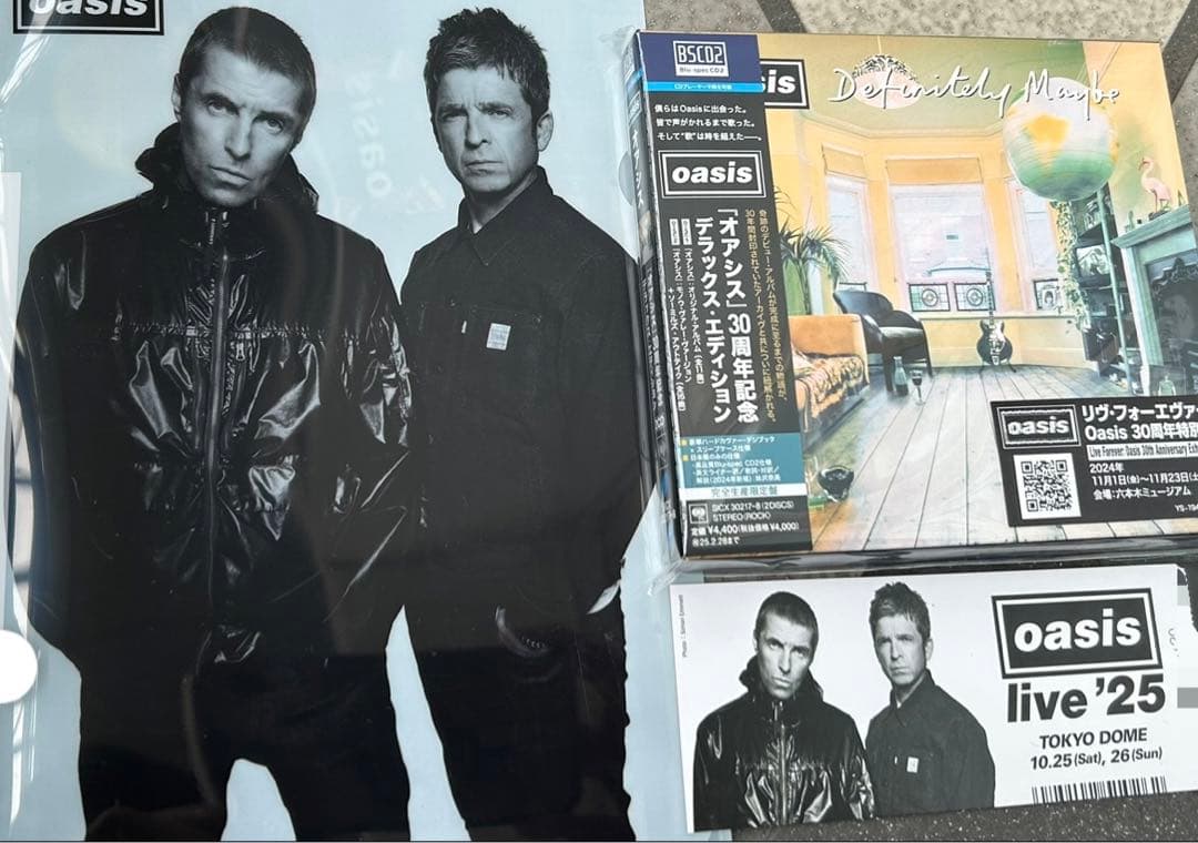 【東京ドーム限定】oasis シリアルナンバー　メモリアルチケット　ファイル