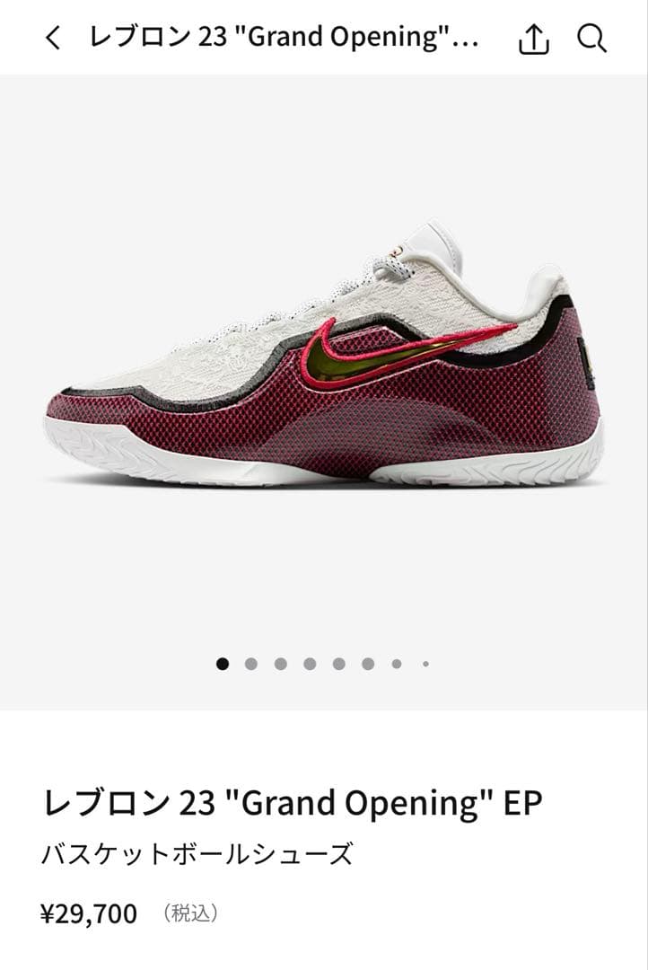 レブロン 23 \