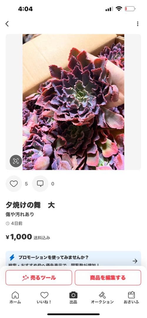 マキマキ様