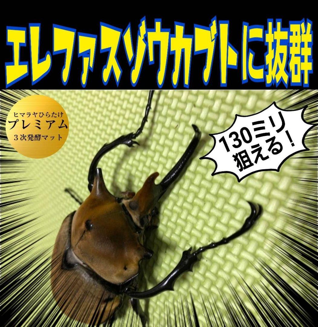 ヘラクレスがギネス級に！プレミアム3次発酵マット【50L】特殊アミノ酸強化配合！