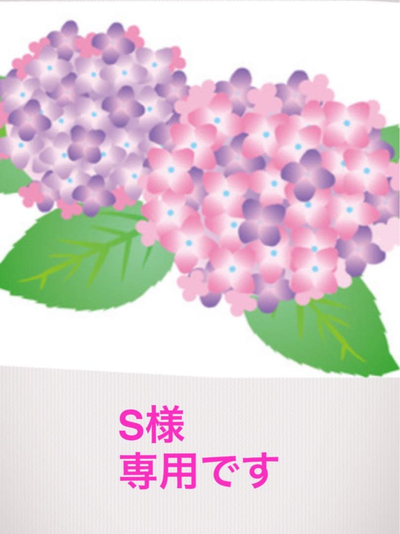Sです。