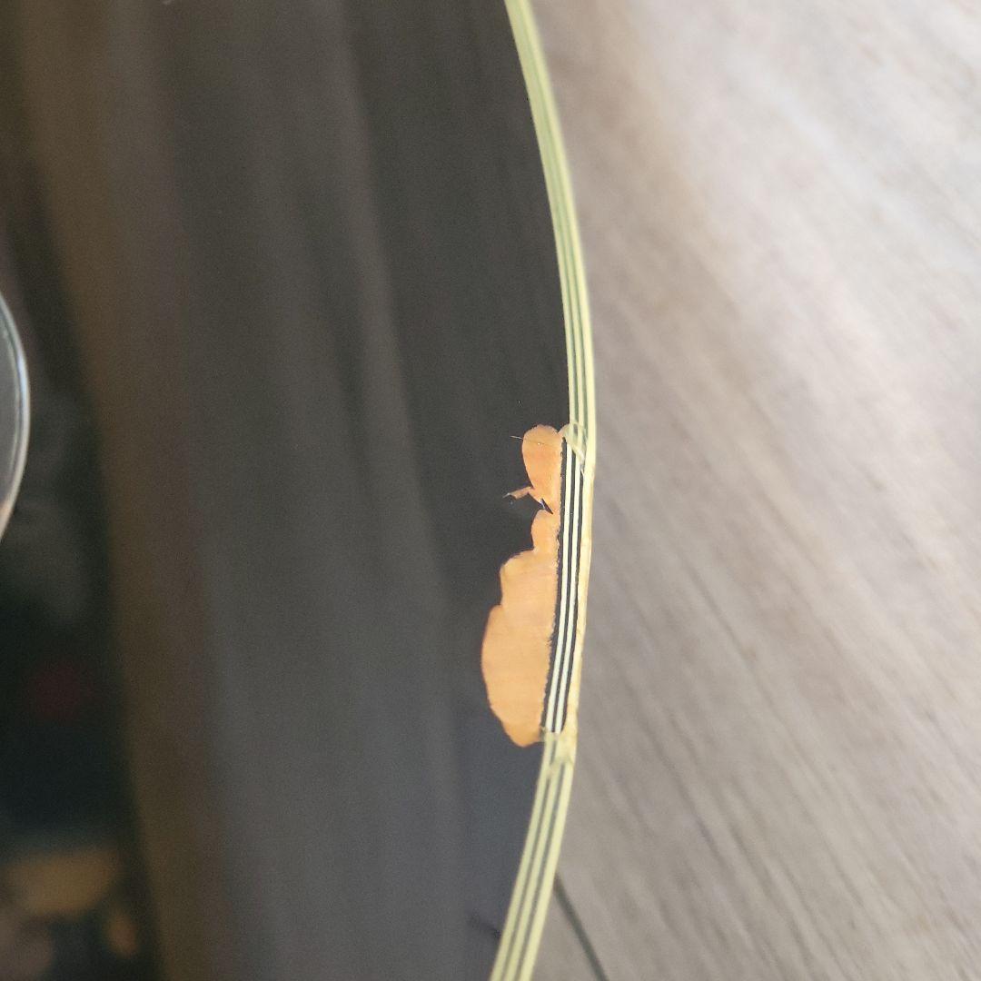 epiphone レスポールカスタム　2005年製