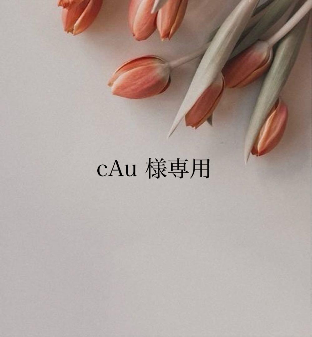 フェイスクリーム cAu