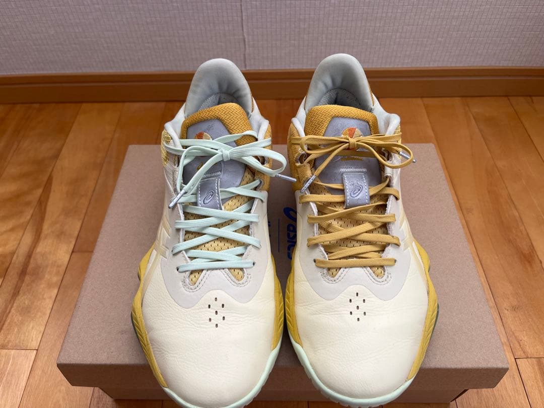シューズ(男性用) asics nova surge low2 ballaholic 27.5