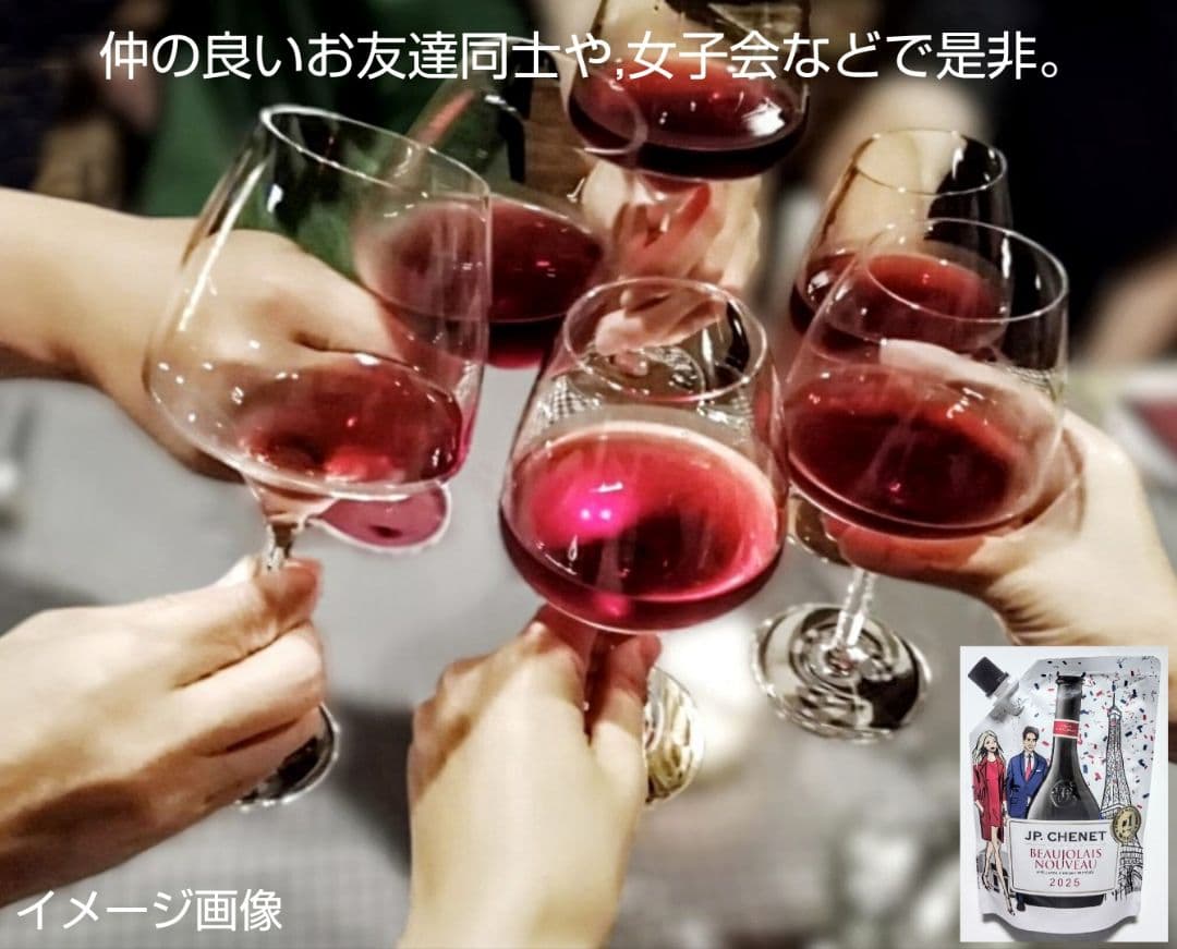 大人気の赤ワイン(2025年版 ボジョレーヌーボーイージーパック)20個新品激安