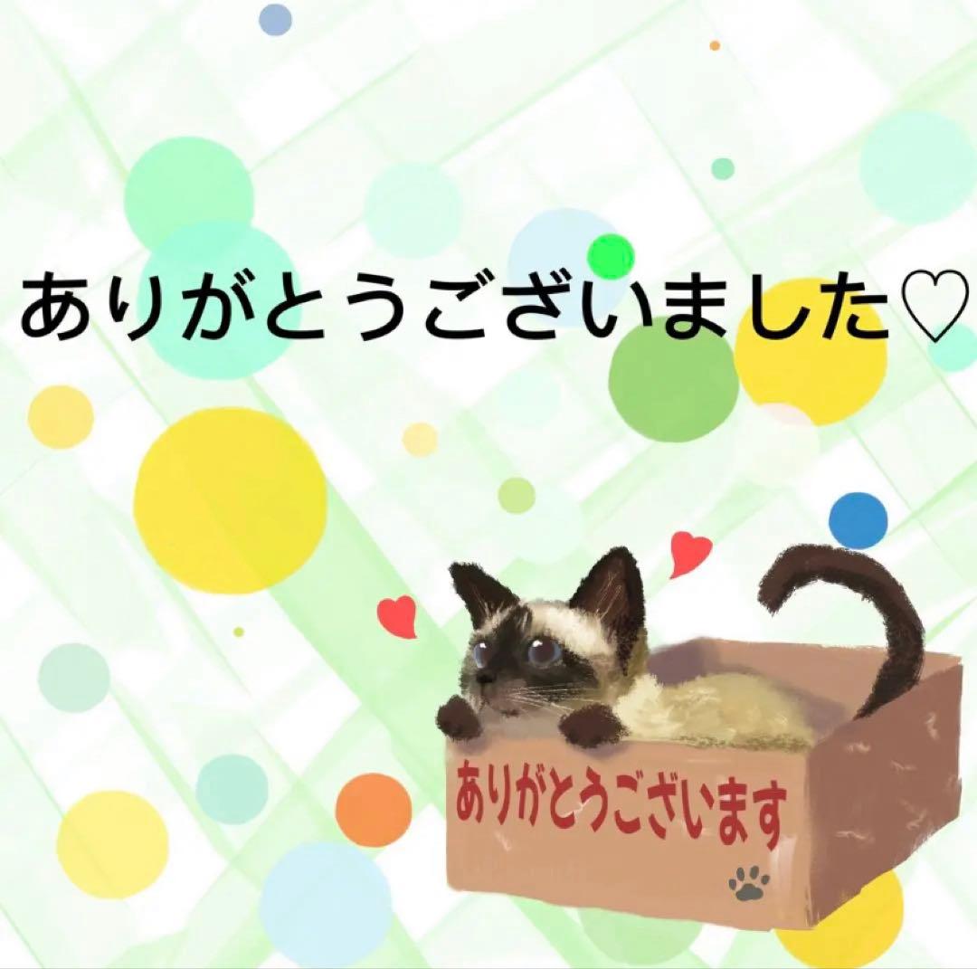 【9433】海外　5m/巻　PETマスキングテープ本棚　本　生活　装飾背景系
