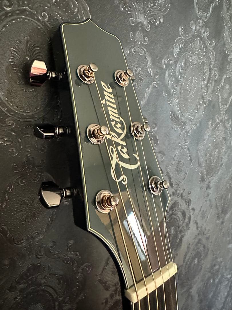 【希少】takamine LTD 2019 moon エレアコ