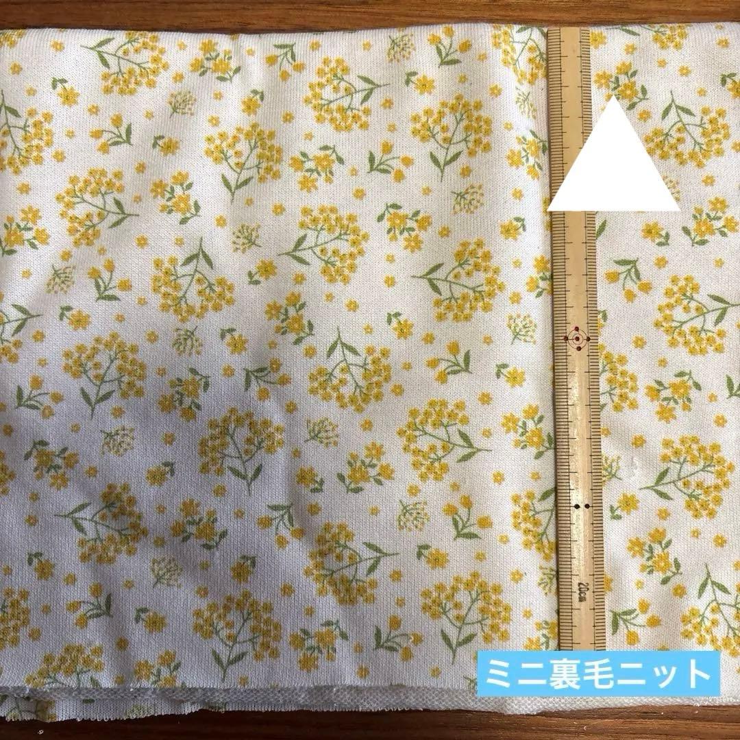 ニット生地