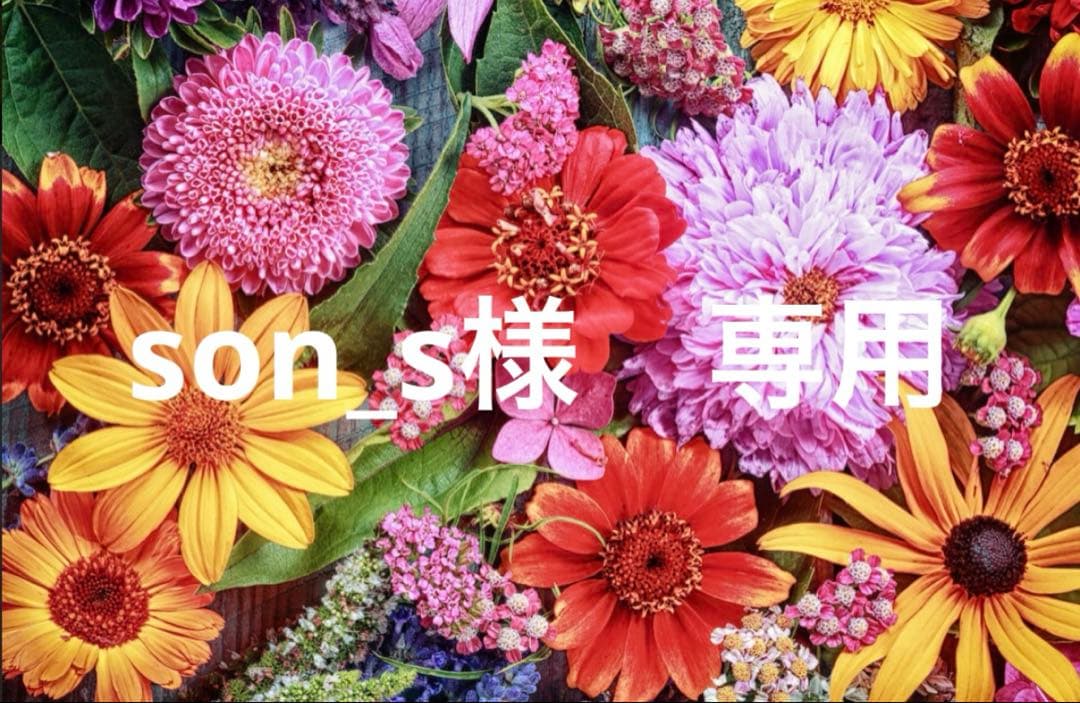 son_s