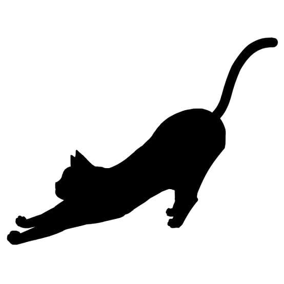 おいちゃん