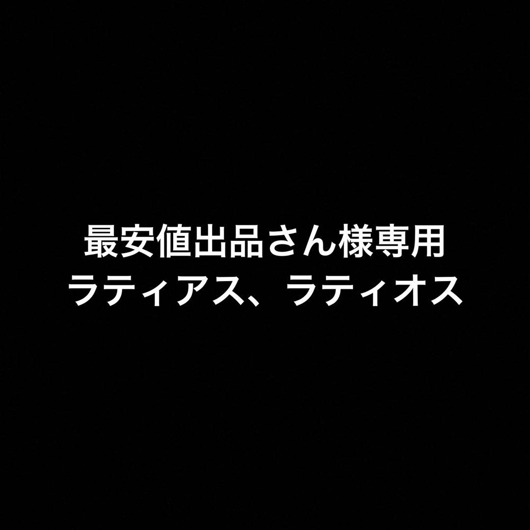 ポケカ２枚セット