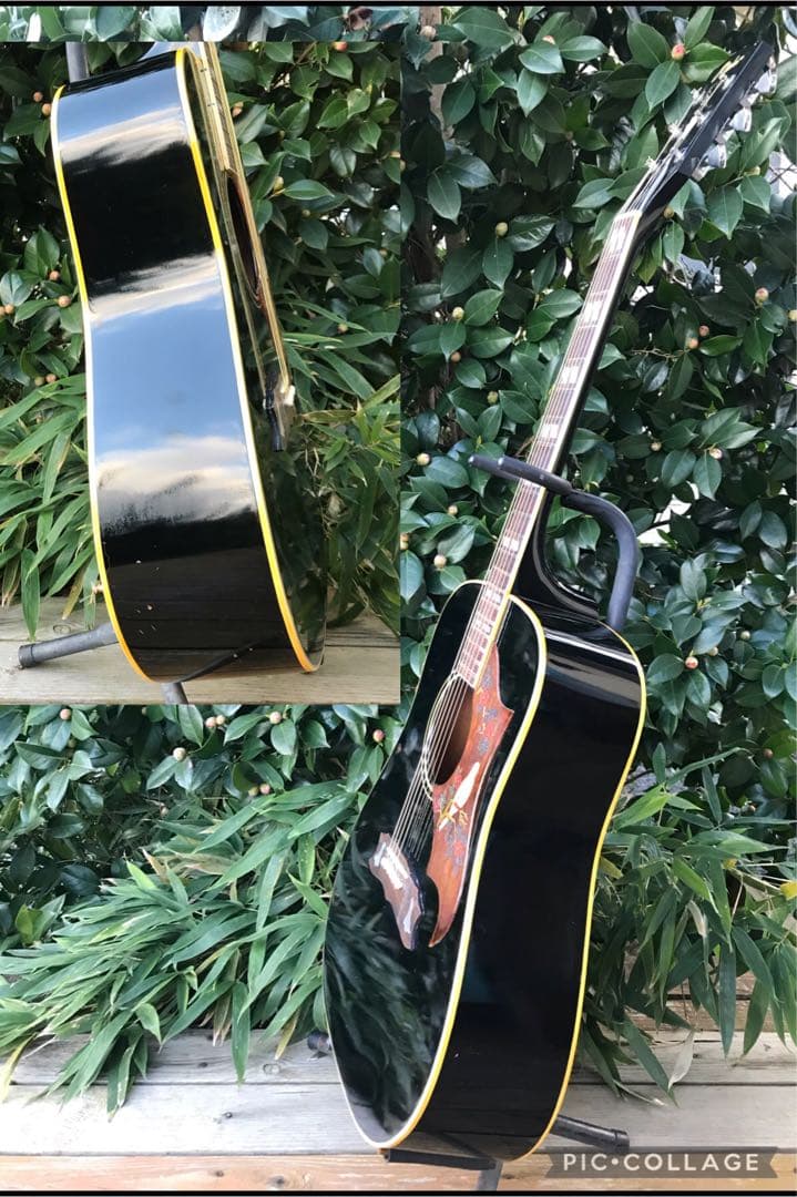 ギター Rider J-300D DOVE model