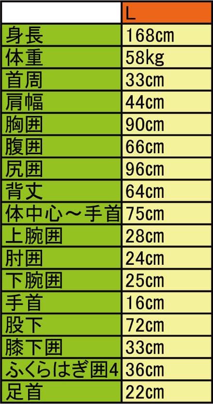 国内生産/ALL2mmロングタッパー/クラッシックスタイル/レディースLサイズ