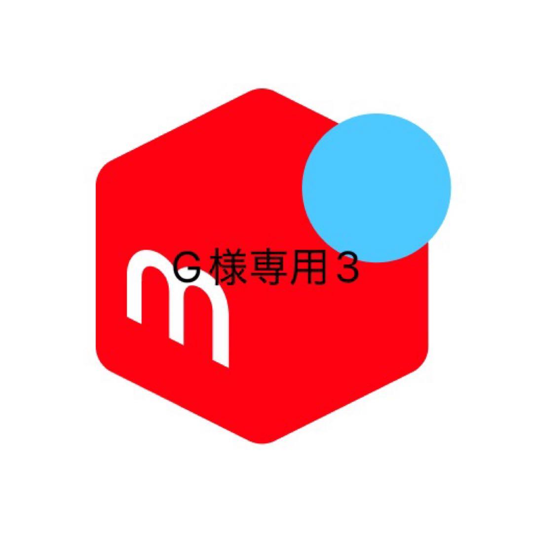 その他 G3