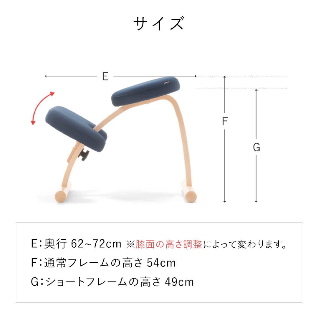 バランスチェア Balans EASY バランスイージー バランスラボ ネイビー