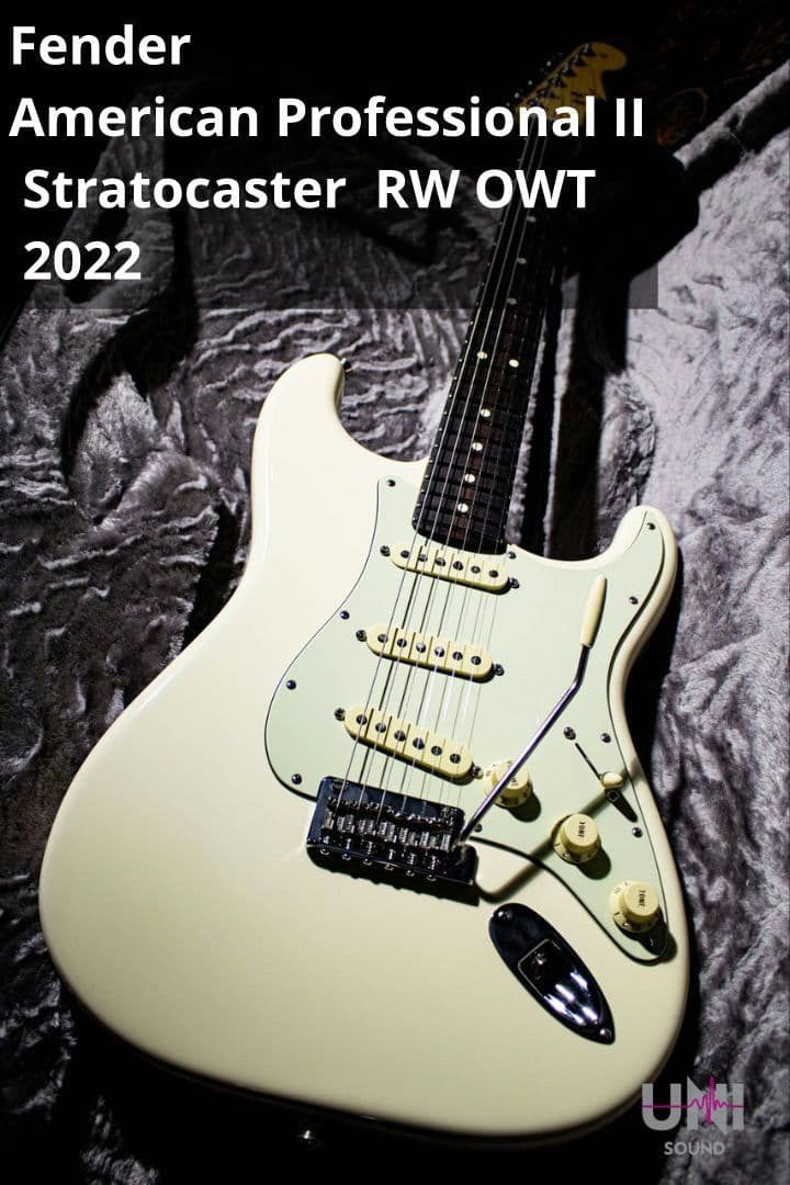 【6末で非公開にします】American Professional II