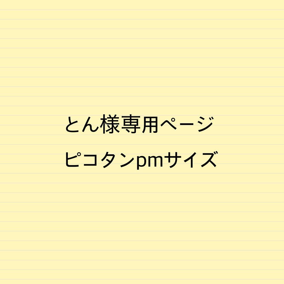 とんページピコタンpmサイズバッグインバッグ