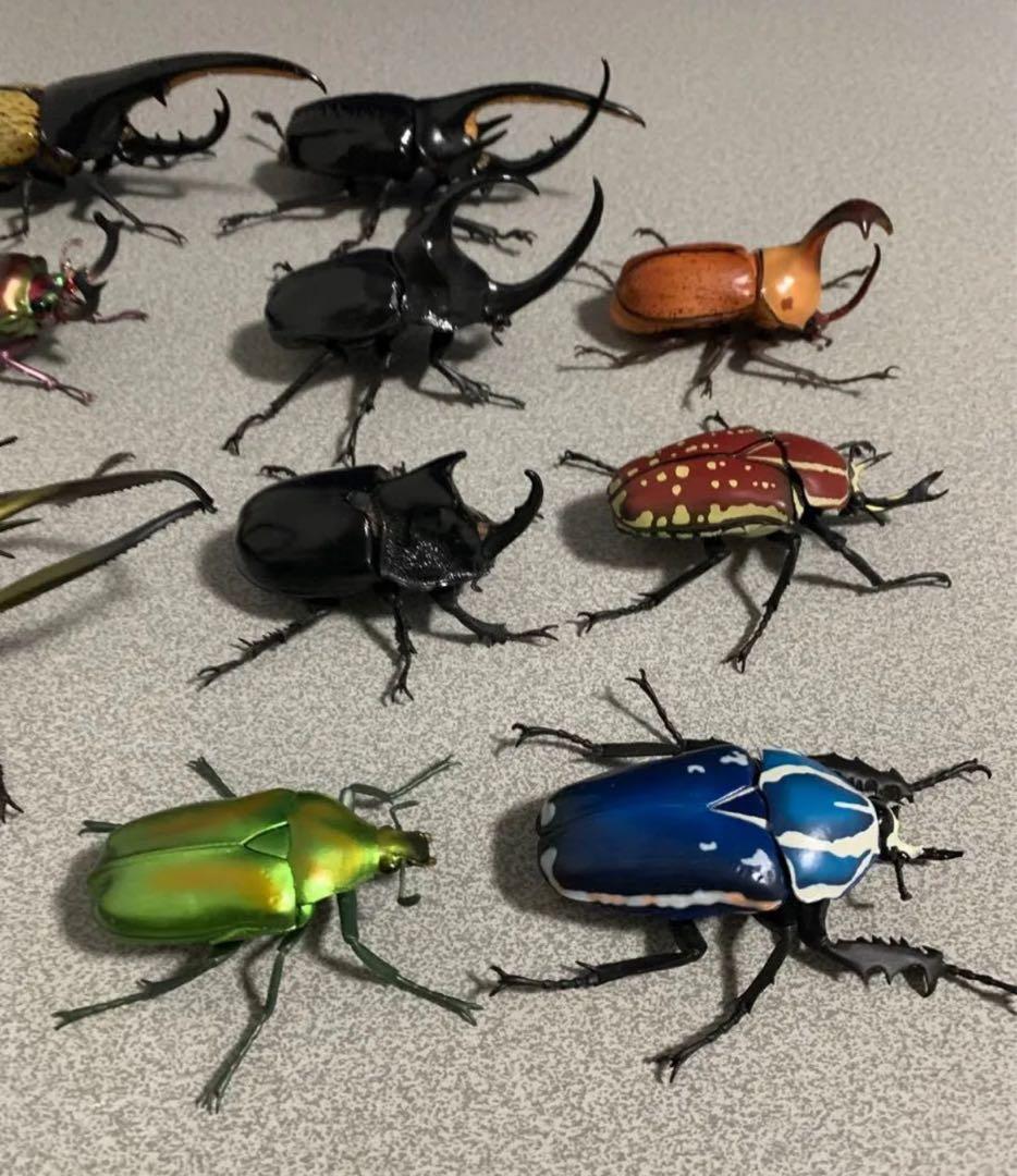 昆虫　カブトムシ　クワガタ　フィギュア　ガチャガチャ