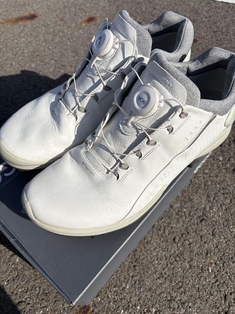 シューズ(男性用) ECCO M GOLF BIOM G 3 goretex