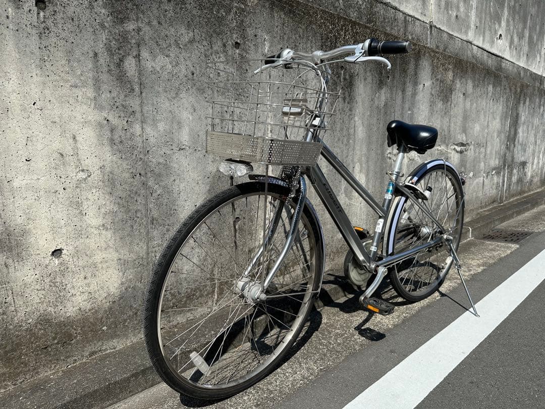 BRIDGESTONE アルベルトロイヤル