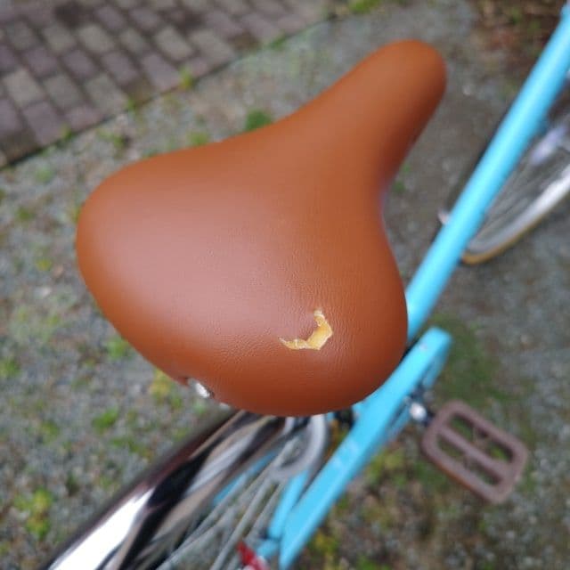 女のコ自転車
