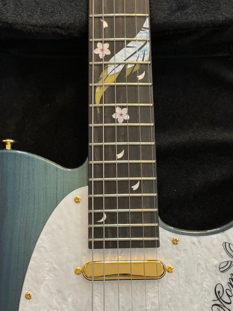 ギター momose MT-HYUGAZAKURA SP 25 E DBL-VGR
