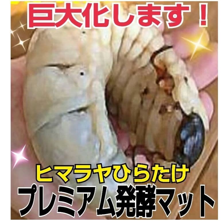 幼虫がビックになる！極上☆プレミアム発酵カブトムシマット【50L】産卵にも抜群！