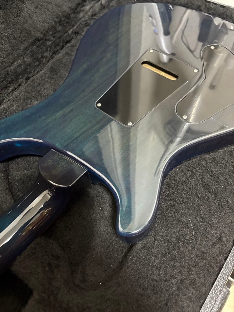 Paul Reed Smith(PRS) Custom 24 2015年製