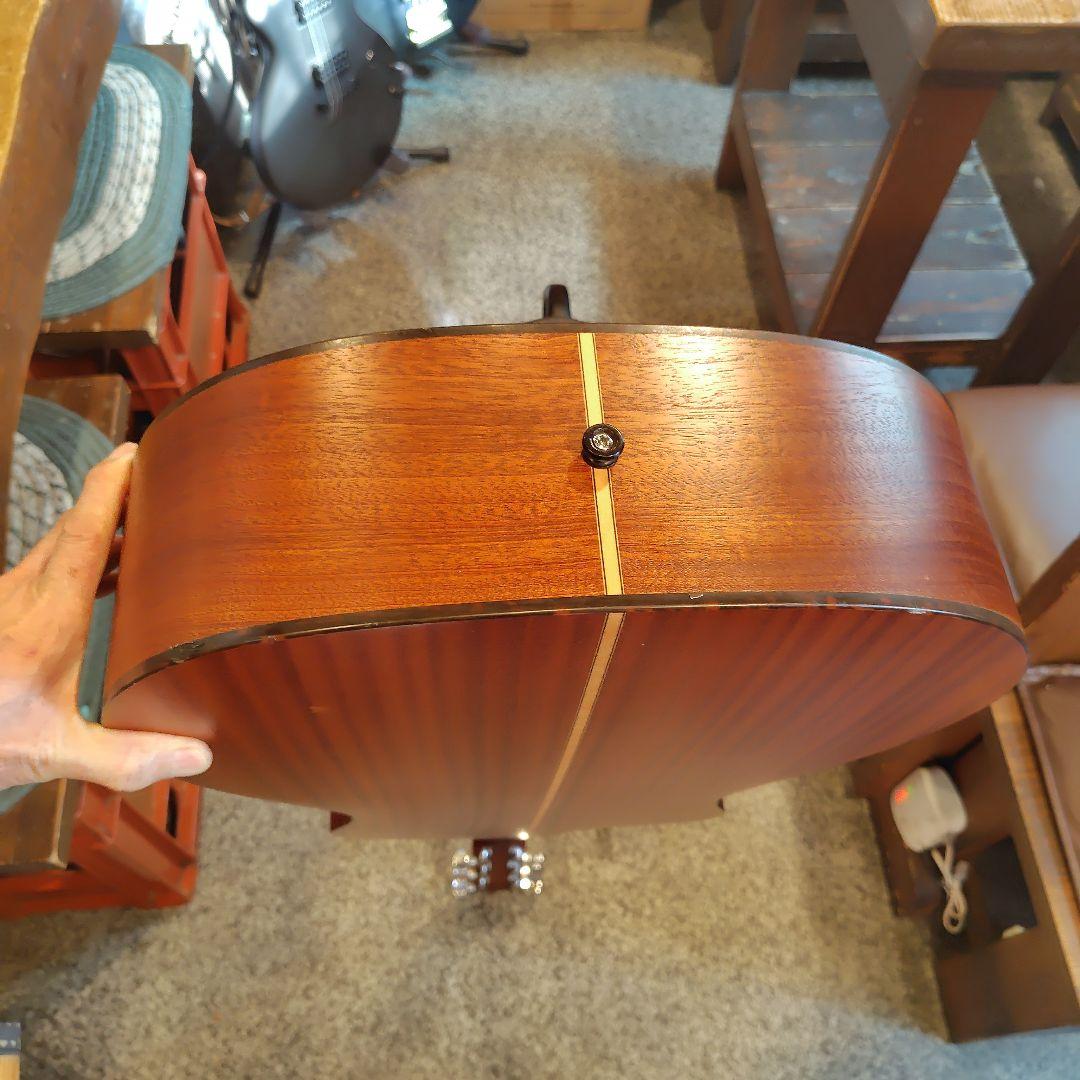 ギター Lakewood M-1