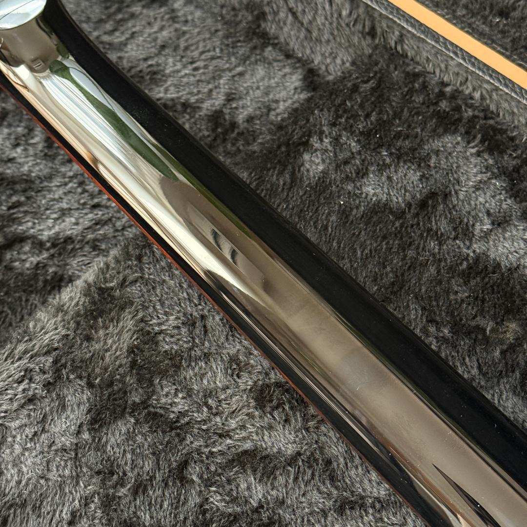 Fernandes APG-DLX JPC フルモードサスティナー 24フレット
