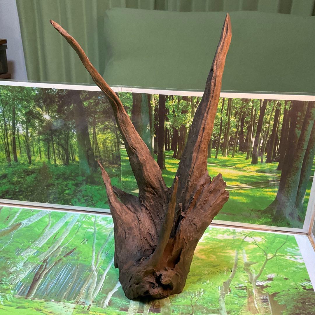 ちゃま　3点