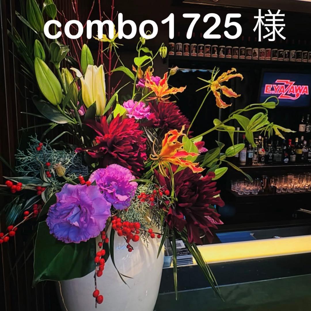 combo1725 