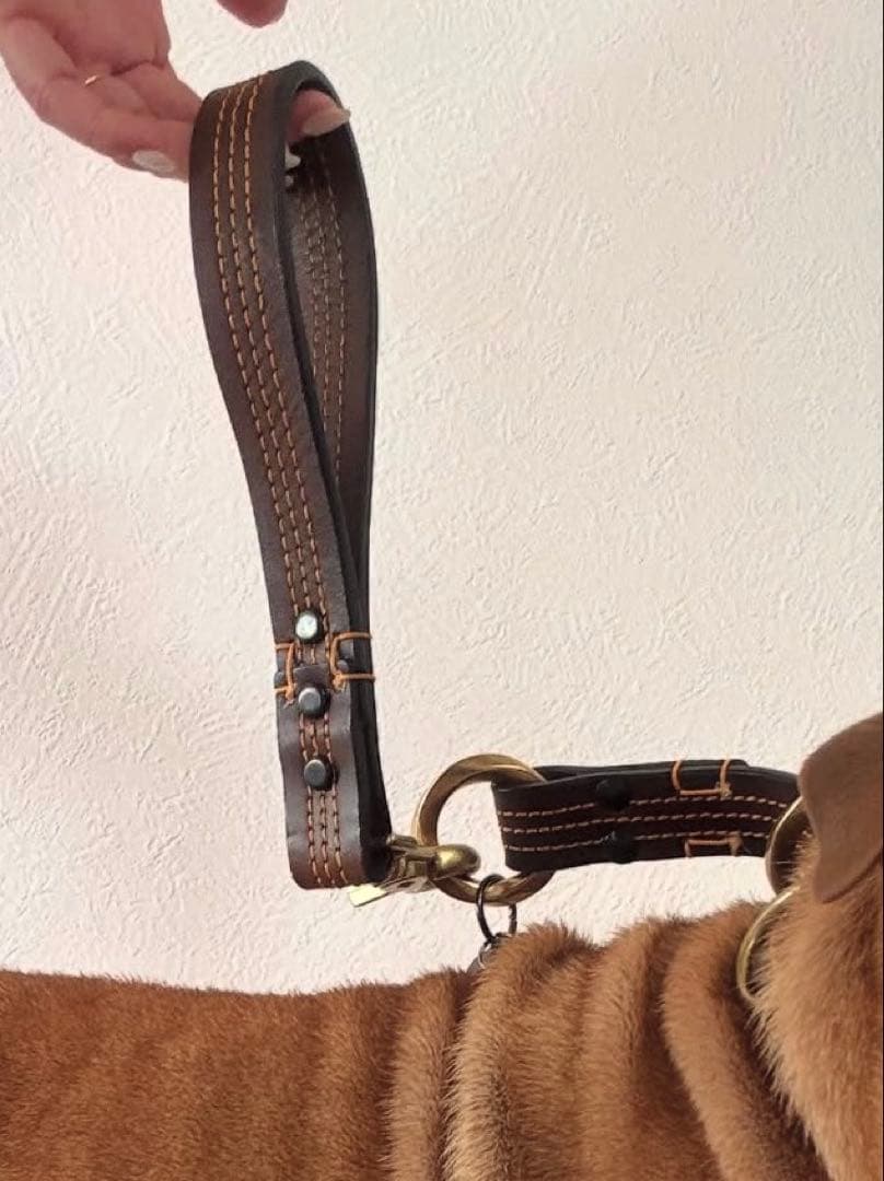 レザー　ショートリード首輪