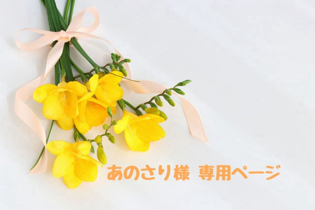 あのさり様 ♡ 専用ページ