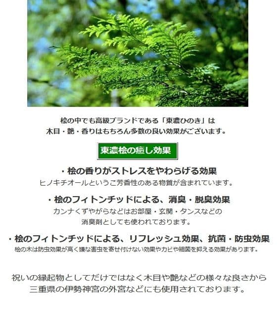 タイムセール 金魚 アート アクリル 琉金 プレゼント 水草 水槽 ハート