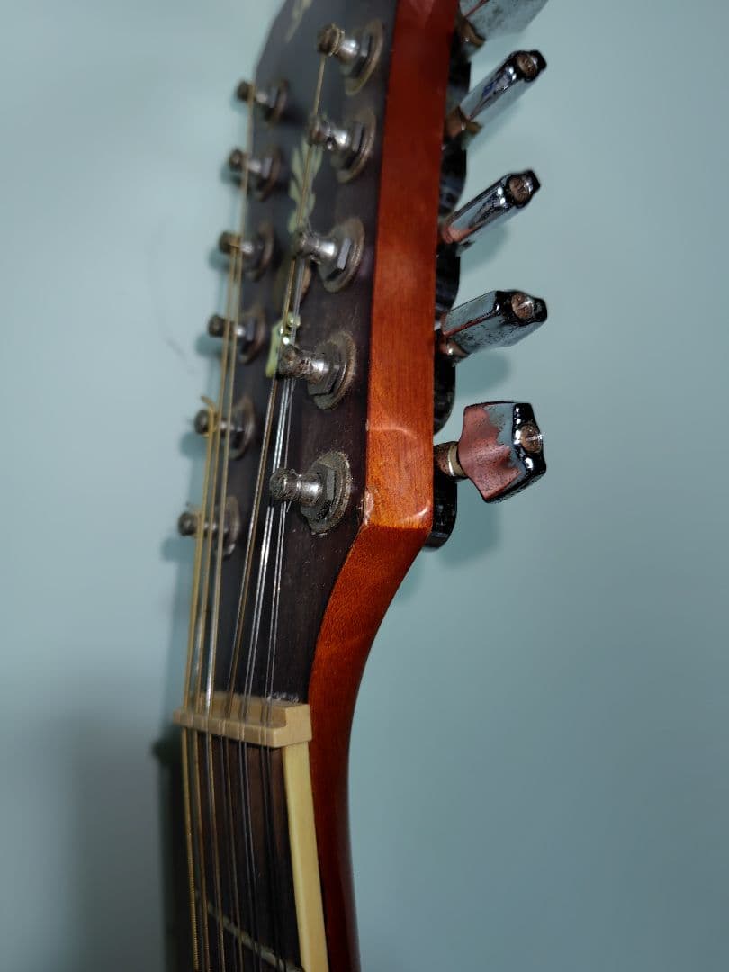 【12弦エレアコ】Ibanez ／弦高低め弾きやすい・ソフトケース付・値段応相談