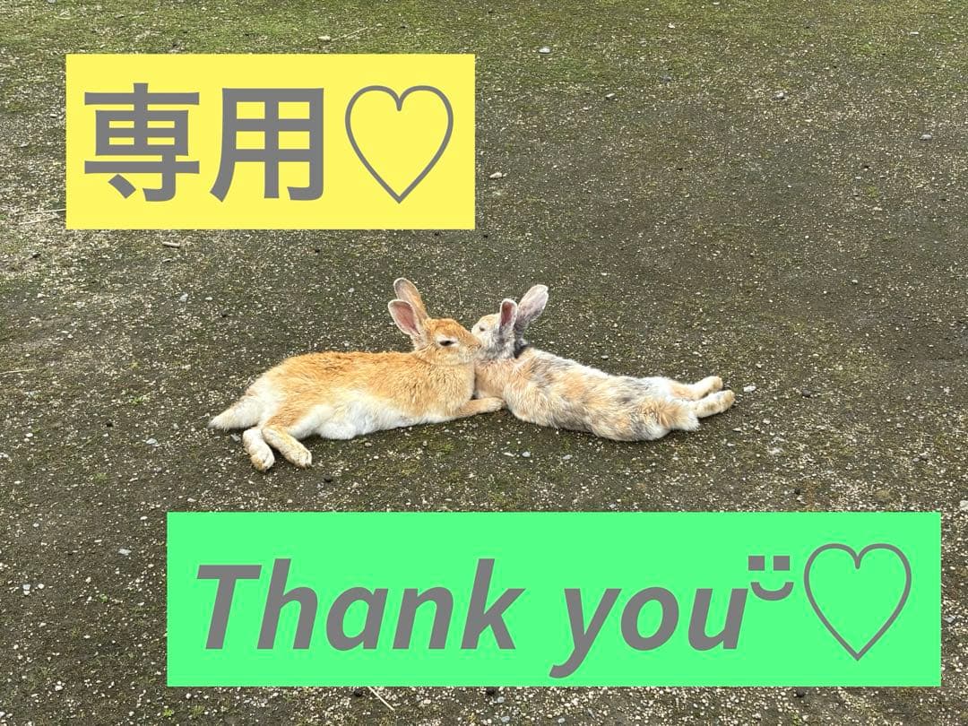 専用★Mサイズ