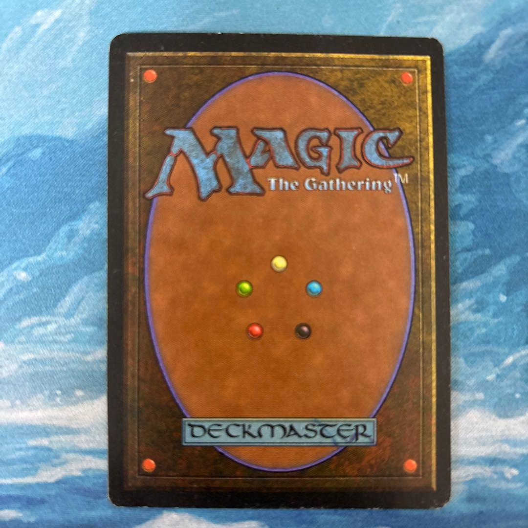 MTG Tundra①