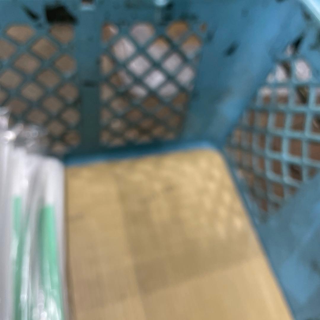青 プラスチック 虫かご・飼育ケース