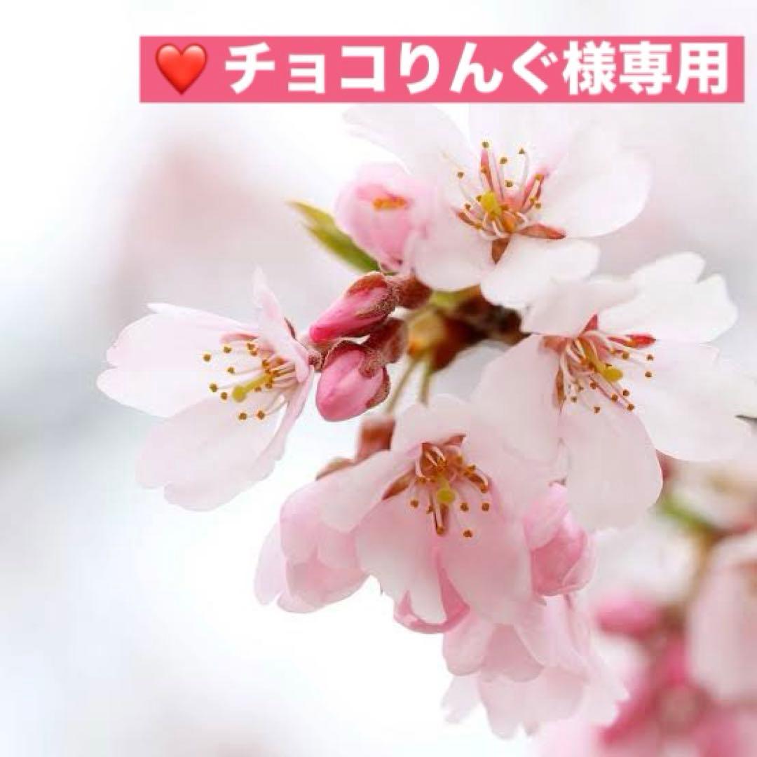 アンファティ　カラーIF ファンデ　全て新箱（シール貼付でない）計3 色数自由