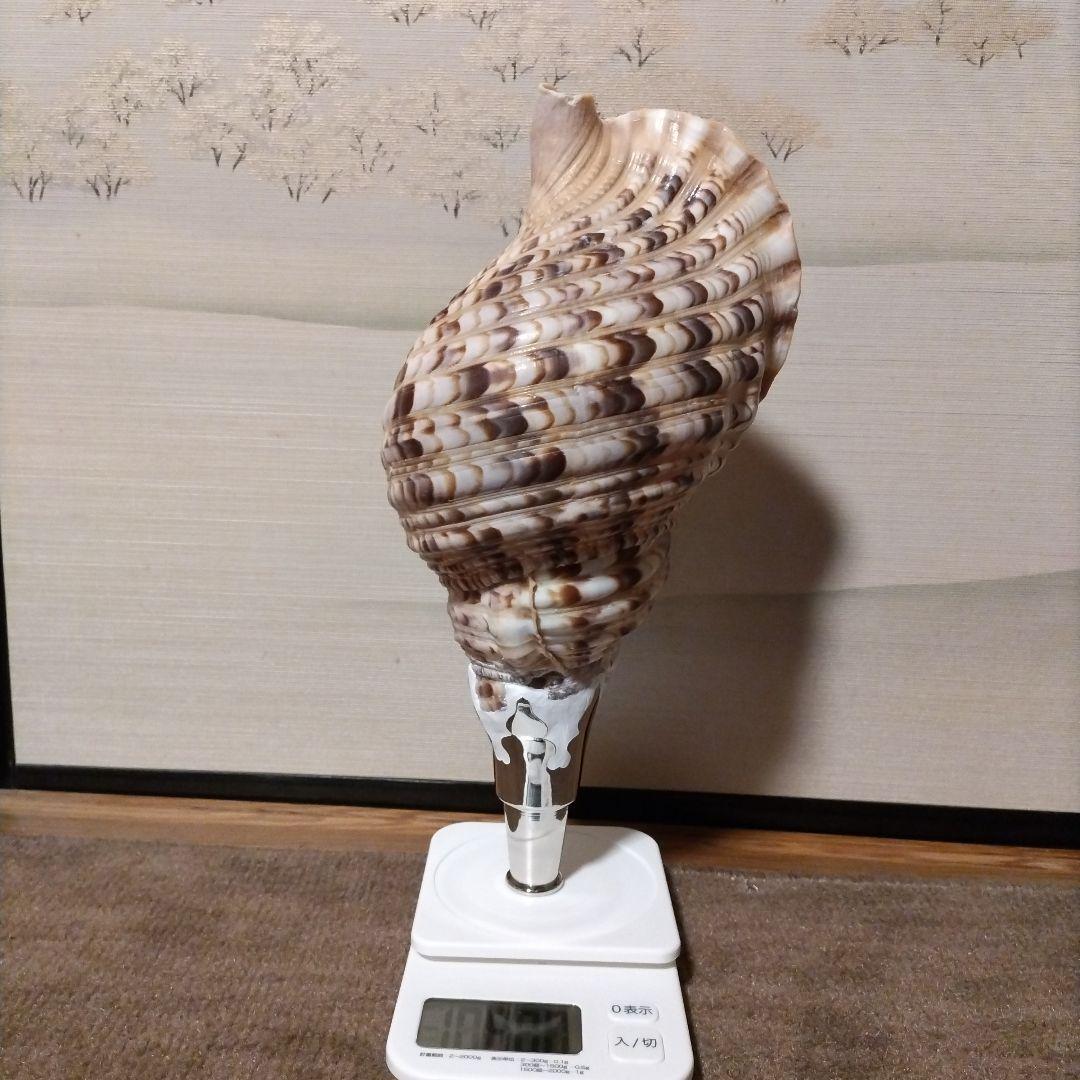 法螺貝　　④